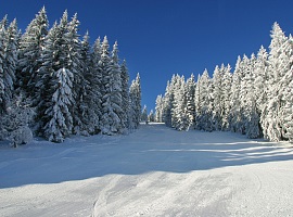 Schneeschuh-Wandern