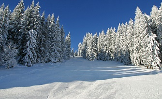 WK_094_Traumhafte-Piste_TVB-Wilder-Kaiser